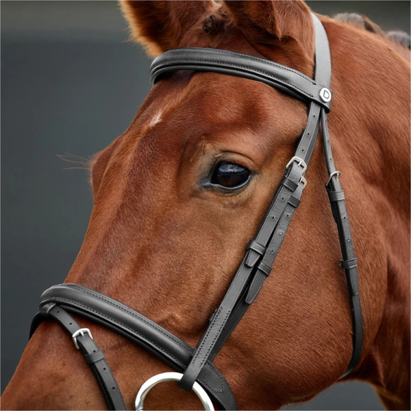 2026 Dublin Padded Flash Bridle 1031497 - Black